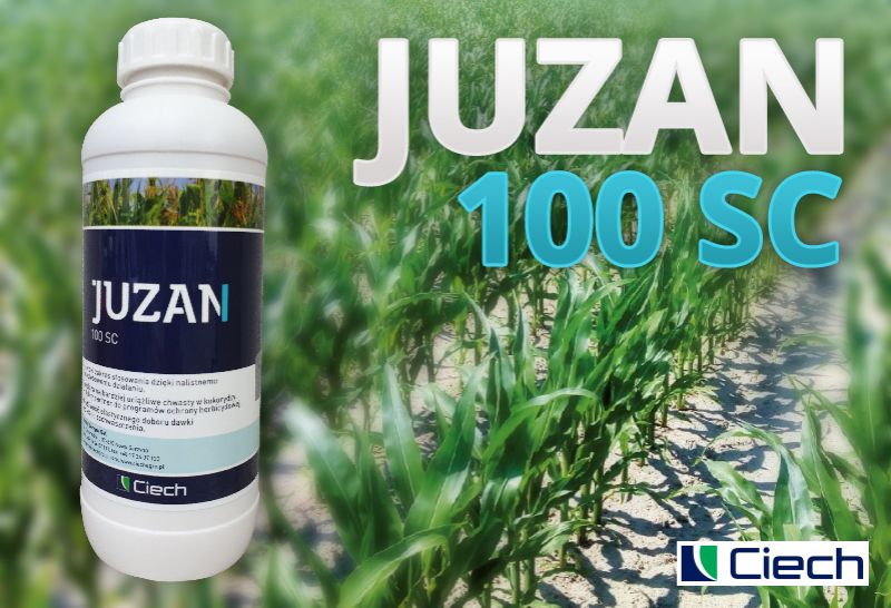 JUZAN 100 SC